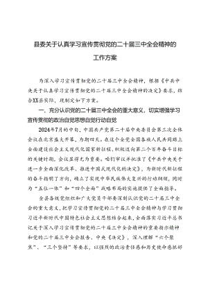 2024年县委关于认真学习宣传贯彻党的二十届三中全会精神的工作方案.docx