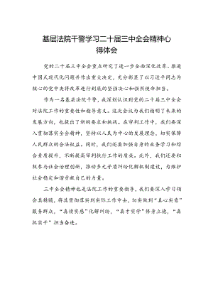 基层法院干警学习二十届三中全会精神心得体会.docx