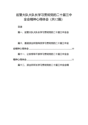 巡警大队大队长学习贯彻党的二十届三中全会精神心得体会12篇（详细版）.docx