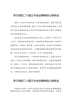 学习贯彻二十届三中全会精神的心得体会精选模板三十六篇.docx