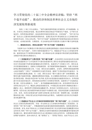 学习贯彻党的二十届三中全会精神宣讲稿：坚持“两个毫不动摇”,推动经济体制改革和社会主义市场经济发展取得新成效.docx