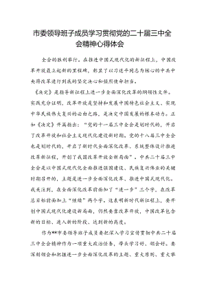 市委领导班子成员学习贯彻党的二十届三中全会精神心得体会.docx