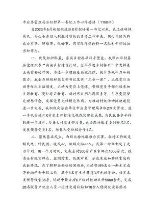 市应急管理局派驻村第一书记工作心得感悟（1108字）.docx