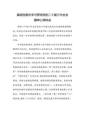 基层检察长学习贯彻党的二十届三中全会精神心得体会.docx