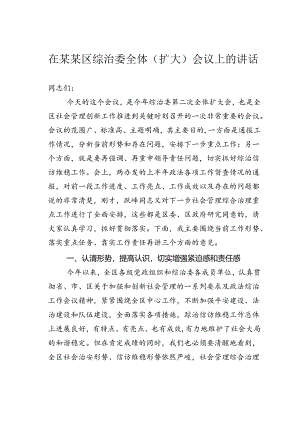 在某某区综治委全体（扩大）会议上的讲话.docx