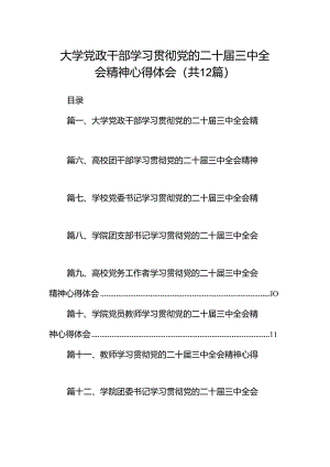 大学党政干部学习贯彻党的二十届三中全会精神心得体会12篇（详细版）.docx