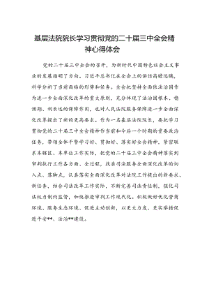 基层法院院长学习贯彻党的二十届三中全会精神心得体会.docx