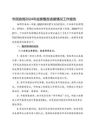 市民政局2024年巡察整改进展情况工作报告.docx