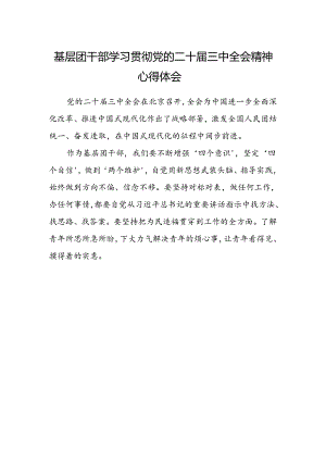 基层团干部学习贯彻党的二十届三中全会精神心得体会范文.docx
