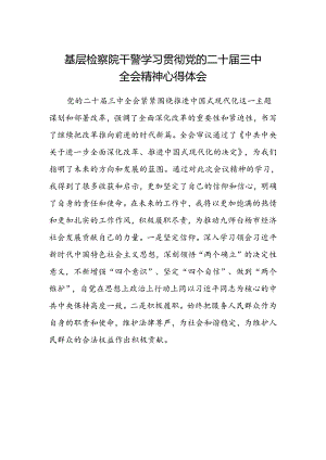 基层检察院干警学习贯彻党的二十届三中全会精神心得体会.docx