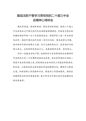 基层法院干警学习贯彻党的二十届三中全会精神心得体会.docx