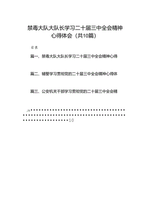 禁毒大队大队长学习二十届三中全会精神心得体会（共10篇）.docx