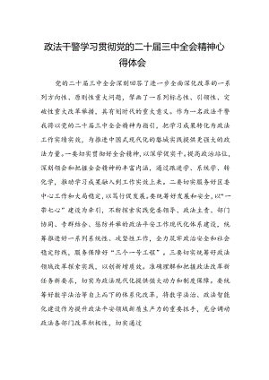 政法干警学习贯彻党的二十届三中全会精神心得体会.docx