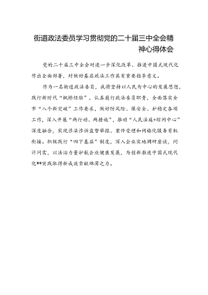 街道政法委员学习贯彻党的二十届三中全会精神心得体会.docx