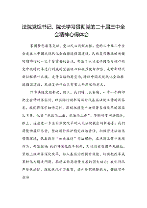 法院党组书记、院长学习贯彻党的二十届三中全会精神心得体会.docx