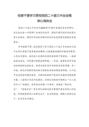 检察干警学习贯彻党的二十届三中全会精神心得体会范本 .docx