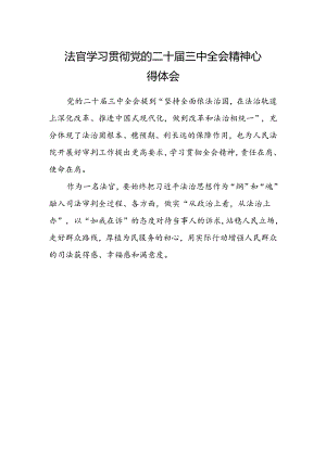 法官学习贯彻党的二十届三中全会精神心得体会 .docx