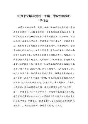 纪委书记学习党的二十届三中全会精神心得体会.docx