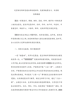 民营医院两新党建品牌创建材料：党建领航聚合力、优质服务保健康.docx