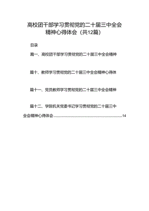 高校团干部学习贯彻党的二十届三中全会精神心得体会（共12篇）.docx