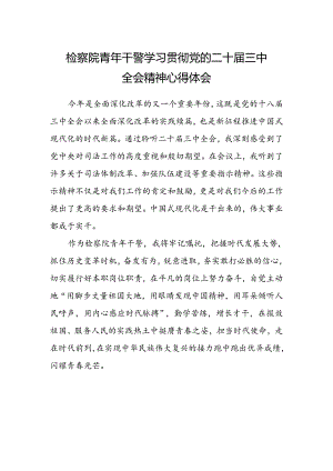 检察院青年干警学习贯彻党的二十届三中全会精神心得体会.docx