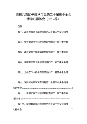 高校共青团干部学习党的二十届三中全会精神心得体会12篇（精选）.docx