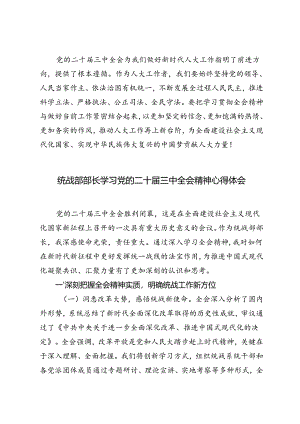 统战部部长、人大主任、住建局局长学习党的二十届三中全会精神心得体会.docx