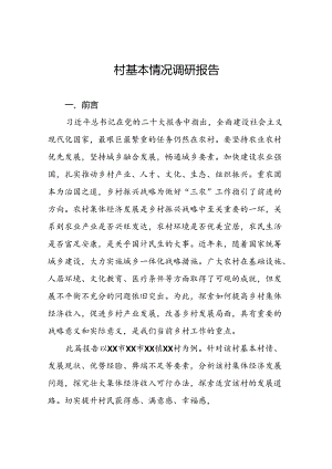 村基本情况调研报告.docx