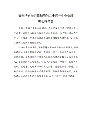 青年法官学习贯彻党的二十届三中全会精神心得体会.docx