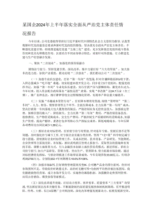 某国企2024年上半年落实全面从严治党主体责任情况报告.docx