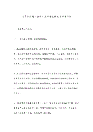 烟草专卖局（公司）上半年总结及下半年计划 .docx