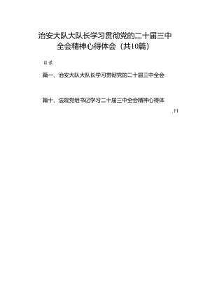 治安大队大队长学习贯彻党的二十届三中全会精神心得体会10篇（精选）.docx