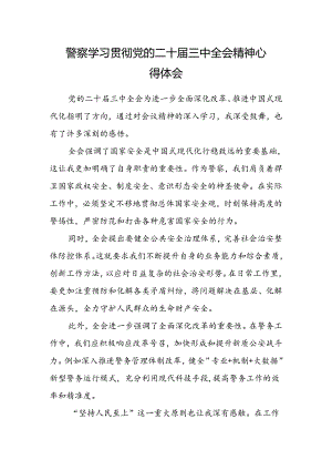 警察学习贯彻党的二十届三中全会精神心得体会.docx