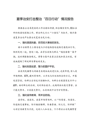 派出所2024年夏季治安严打整治工作总结6篇.docx