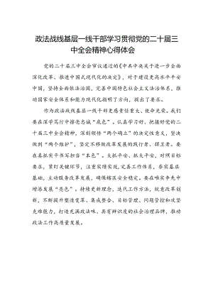 政法战线基层一线干部学习贯彻党的二十届三中全会精神心得体会.docx