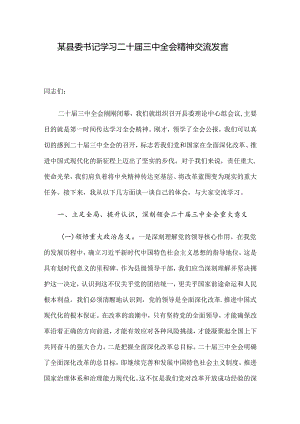 某县委书记学习二十届三中全会精神交流发言.docx