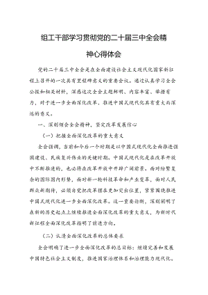 组工干部学习贯彻X的二十届三中全会精神心得体会3篇.docx