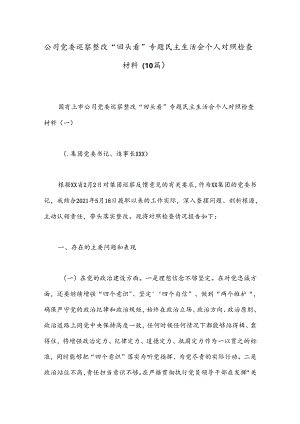 （10篇）公司党委巡察整改“回头看”专题民主生活会个人对照检查材料.docx