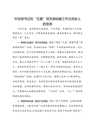 村支部书记在“五星”党支部创建工作交流会上的发言.docx