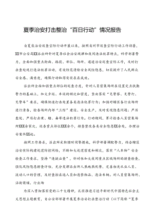 派出所2024公安夏季治安打击整治行动情况报告(十一篇).docx