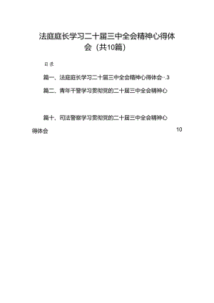 法庭庭长学习二十届三中全会精神心得体会10篇（详细版）.docx