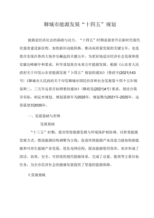 聊城市能源发展“十四五”规划.docx