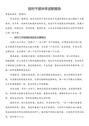 驻村干部半年述职报告.docx