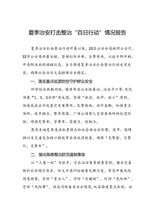 派出所开展2024年夏季治安打击整治“百日行动”情况总结报告十六篇.docx