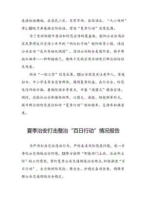 派出所2024年公安夏季治安打击整治行动情况汇报6篇.docx