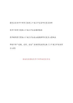 青年干部教师年轻党员学习党的二十届三中全会研讨发言材料4篇.docx