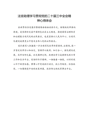 法官助理学习贯彻党的二十届三中全会精神心得体会范文.docx