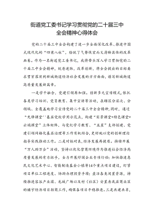 街道党工委书记学习贯彻党的二十届三中全会精神心得体会.docx
