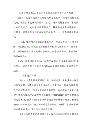 生态环境分局2024年上半年工作总结和下半年工作思路.docx