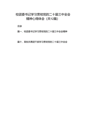 校团委书记学习贯彻党的二十届三中全会精神心得体会（共12篇）.docx